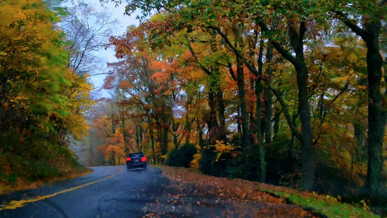 Deštivý den a podzimní barvy činí tento les kouzelným. Blue Ridge Parkway u Smokey Mountain.