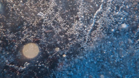 burbujas de aire se elevan desde el fondo del mar saturando el agua con oxígeno