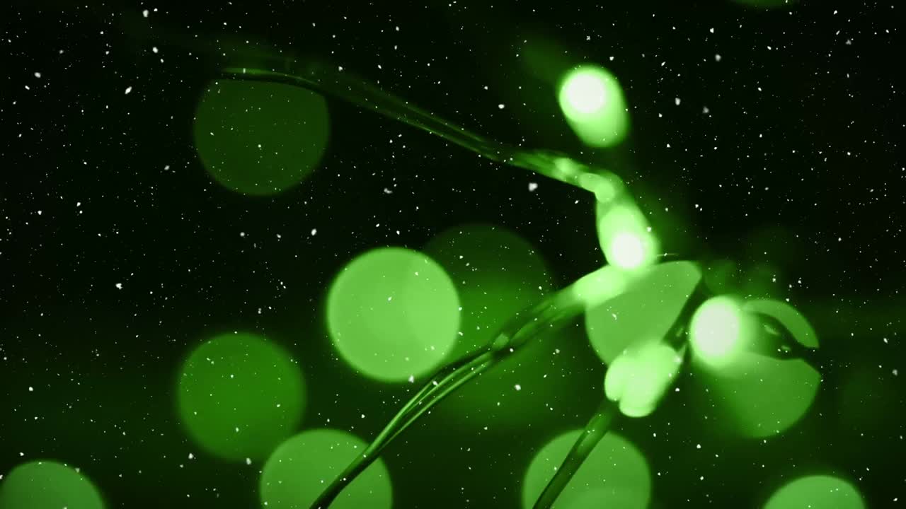 흐릿한 초록색 불빛 위에 눈이 있는 비디오 구성