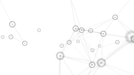 network animation on white background.