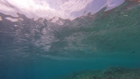 snorkeling in turquoise waters of tropical sea in bali, indonesia