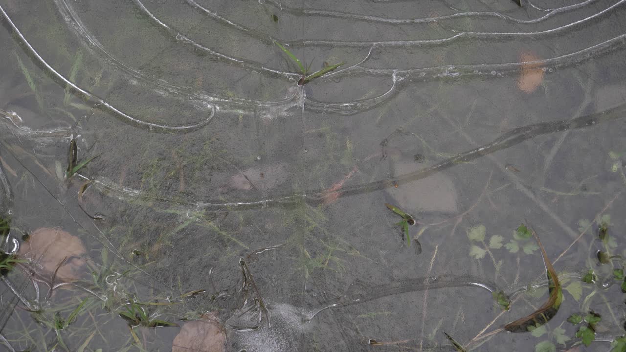 Ice puddle that forms over the frozen grass and looks like a frozen lake