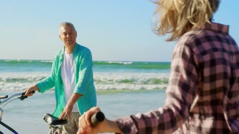 active senior caucasian couple standing with bicycle on the beach 4k