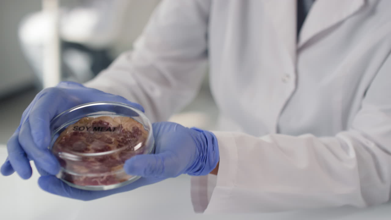 Soy Meat Research in a Laboratory Setting