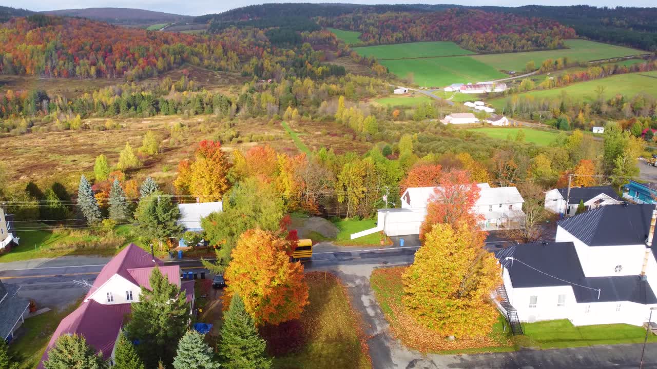 Canada Autumn fall season color tree expensive neighbourhood North America maple leaf canopy