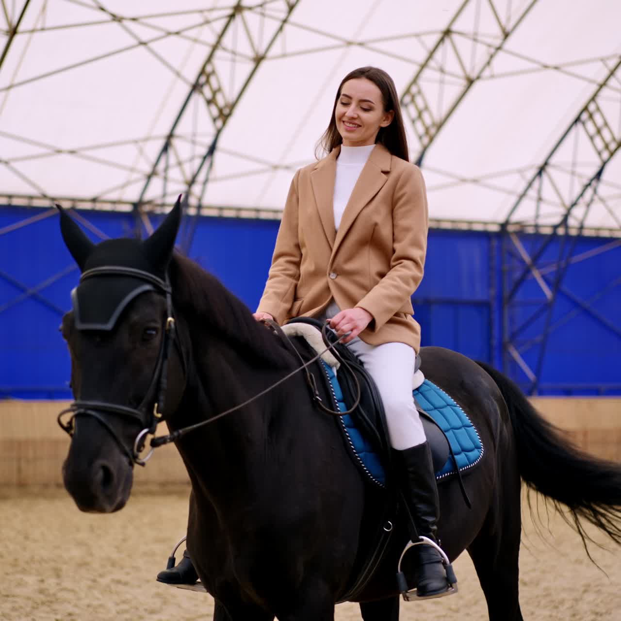 Riding on the horseback. Learning horse sport riding