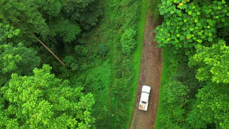 aerial bird's eye view from a car on a dirt road in the green forest at são tomé e principe,africa