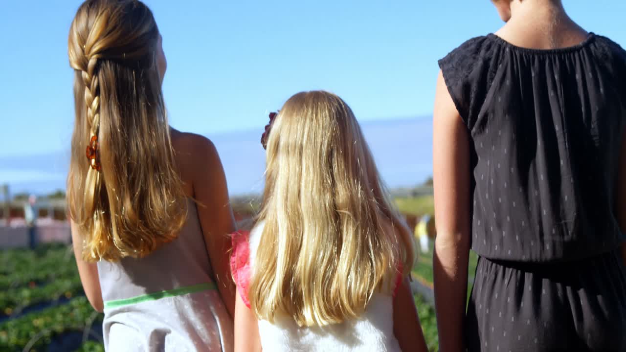 딸기 농장에서 함께 서 있는 소녀들 4k