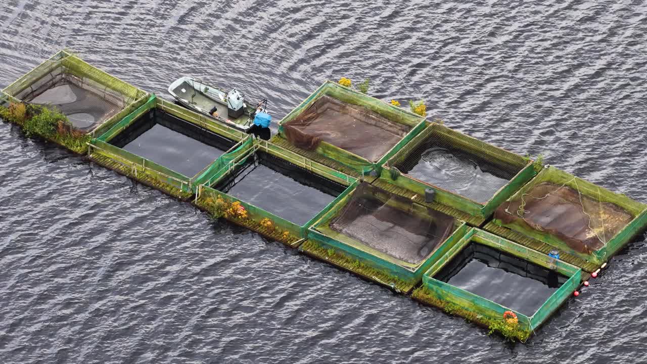 Overhead drone footage tracks floating fish cages and a small boat on a rippling reservoir, with steady movement and natural daylight enhancing detail