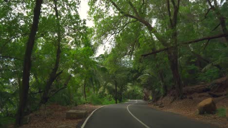 mahe seychelles, amazing driving in isolate location, drive between trees and rocks with steep falls on the road with no rails