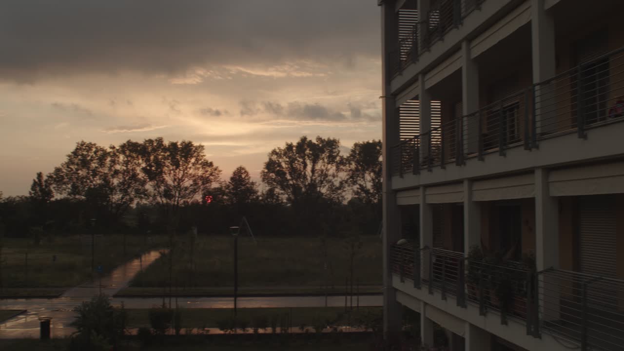 Evening wet park at sunset after rain