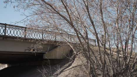 close view of a bridge with decorative iron railing and bare trees in the foreground, a pedestrian walks across the bridge