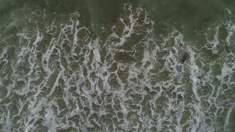 Aerial-Sandy-Tropical-Beach-and-Sea-Green-Sea-Waves-Aerial-View