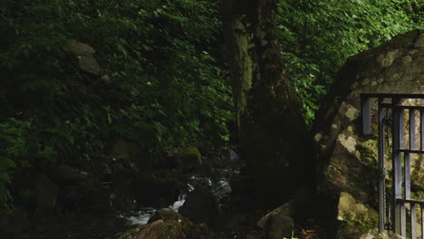 Fast-cascading-forest-stream-flowing-along-stones-and-iron-railing