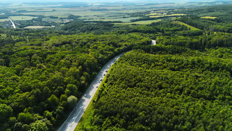 winding road in lush forests. a road stretches through vibrant green forests as cars travel along the winding route under clear skies