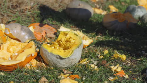 slow motion close up of man swinging hatchet to destroy rotten pumpkins and gourds after halloween smashing seeds and orange pumpkin pieces into the air