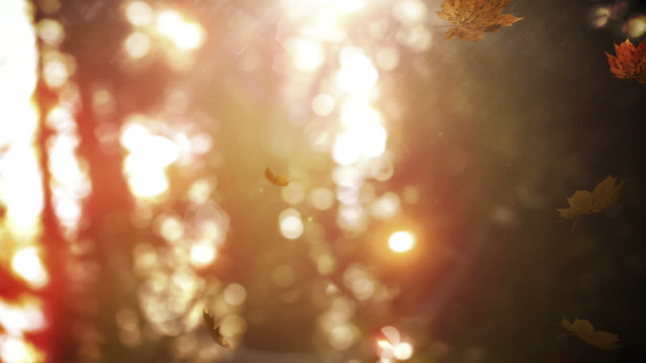 анимация осенних листьев, падающих на осеннюю листву