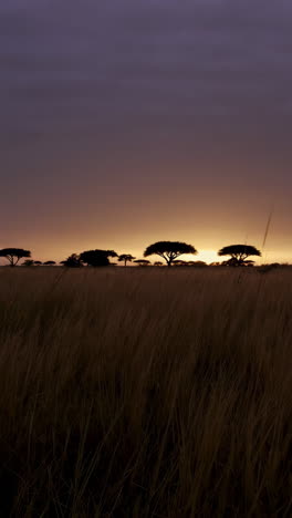 African Sunrise over the Savannah