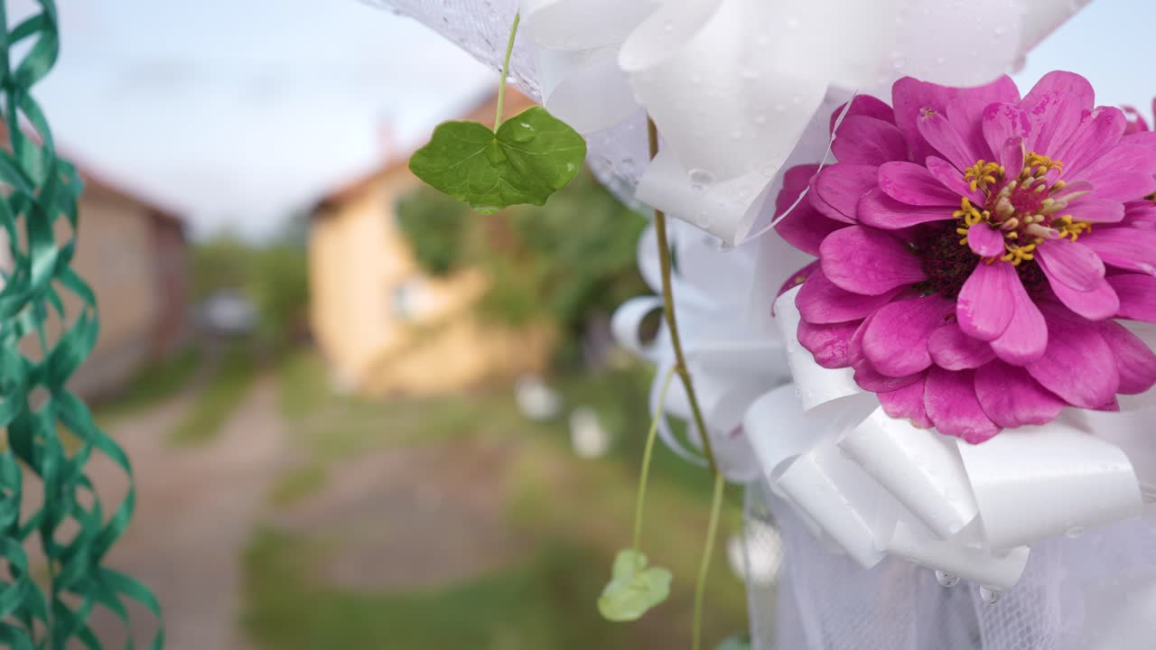 결혼식 장식 게이트 꽃 4k