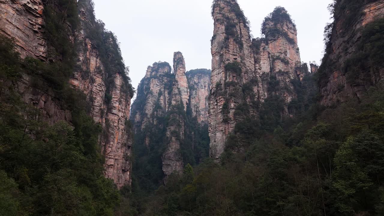 A mesmerizing drone view of Zhangjiajie's majestic rock pillars rising sharply amidst lush vegetation, illustrating the awe-inspiring natural formations of this iconic landscape in China