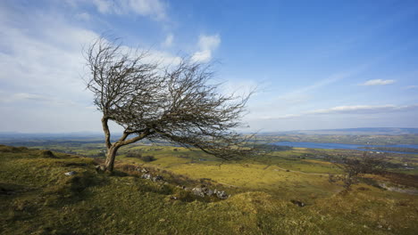 Time-lapse-of-rural-and-remote-landscape-of-grass,-trees-and-rocks-during-the-day-in-hills-of-Carrowkeel-in-county-Sligo,-Ireland