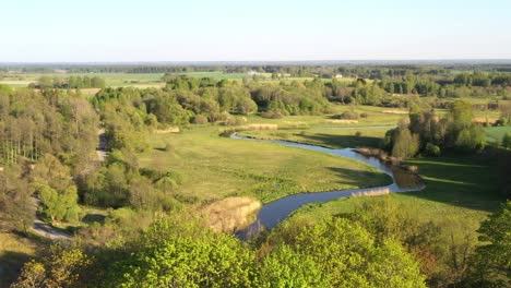 drone rises above treeline to reveal river bend, reeds forest, and deciduous trees