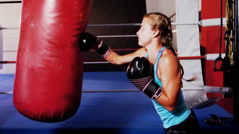 boxer practicing boxing with punching bag