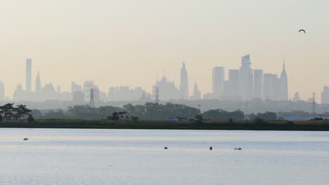 맨해튼 스카이 라인 (manhattan skyline) 은 뉴저지 파크 (new jersey park) 에서 촬영된 어두운 빛의 영상입니다.