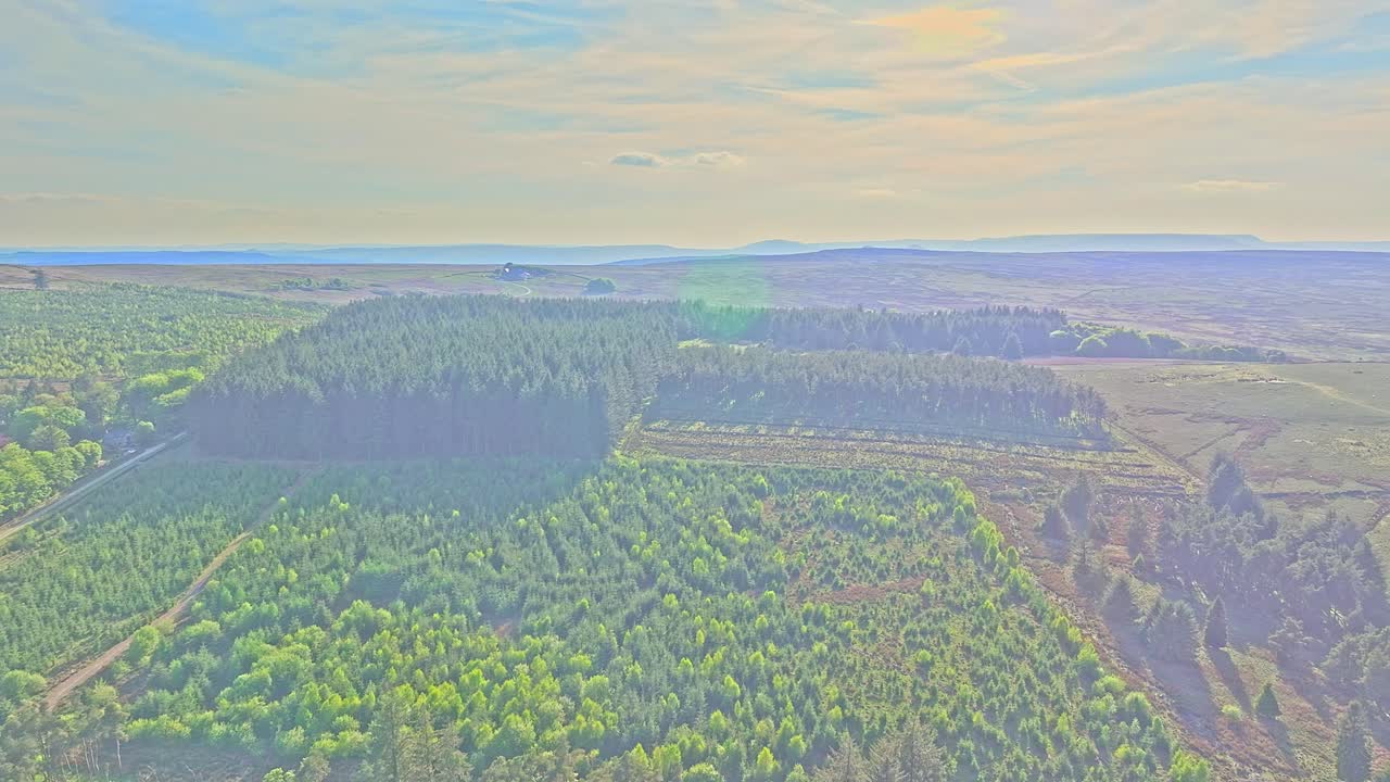Drone captures a vast mosaic of tree plantations and rural terrain surrounding Redmires Reservoir in the Peak District, England