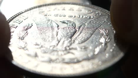 checking american dollars coin in macro closeup. collectible coin in a hand.