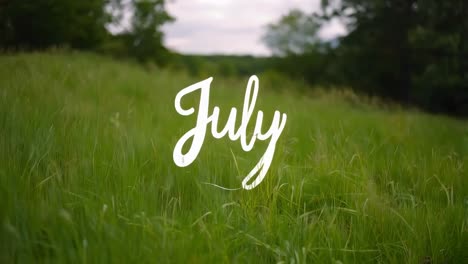 july month in grassy field