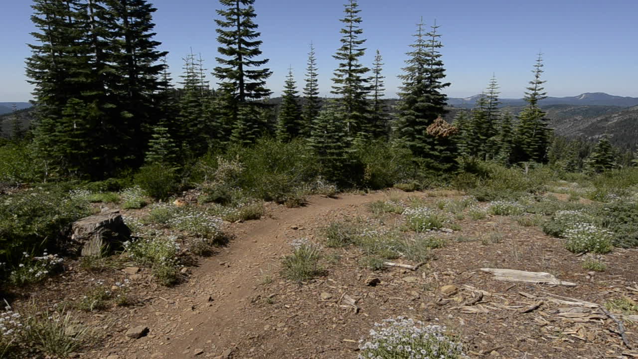 los ciclistas de montaña descienden el downeville cuesta abajo desde el lago packers en la sierra buttes en el bosque nacional de tahoe en california