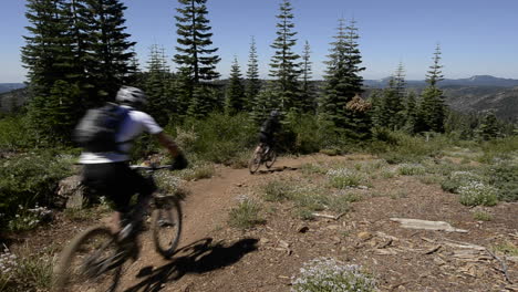 mountain bikers descending the downeville downhill from packers lake saddle on the sierra buttes in tahoe national forest california