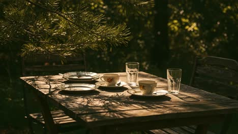 A Serene Outdoor Tea Setting with Delicate Floral Cups and Sparkling Glasses, Perfectly Captured in a Sun-Drenched Forest Ambiance
