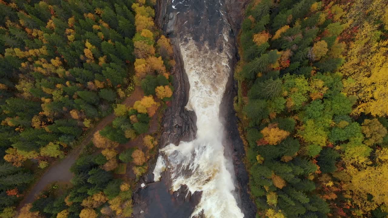 vista de pájaro de arriba hacia abajo de un arroyo que fluye a través del colorido bosque de otoño