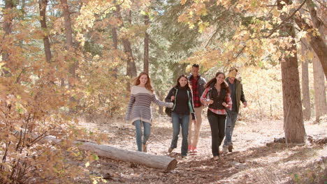 five friends enjoying a hike in a forest, front view