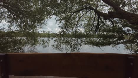 wooden memorial bench on the banks of a lake surrounded by trees