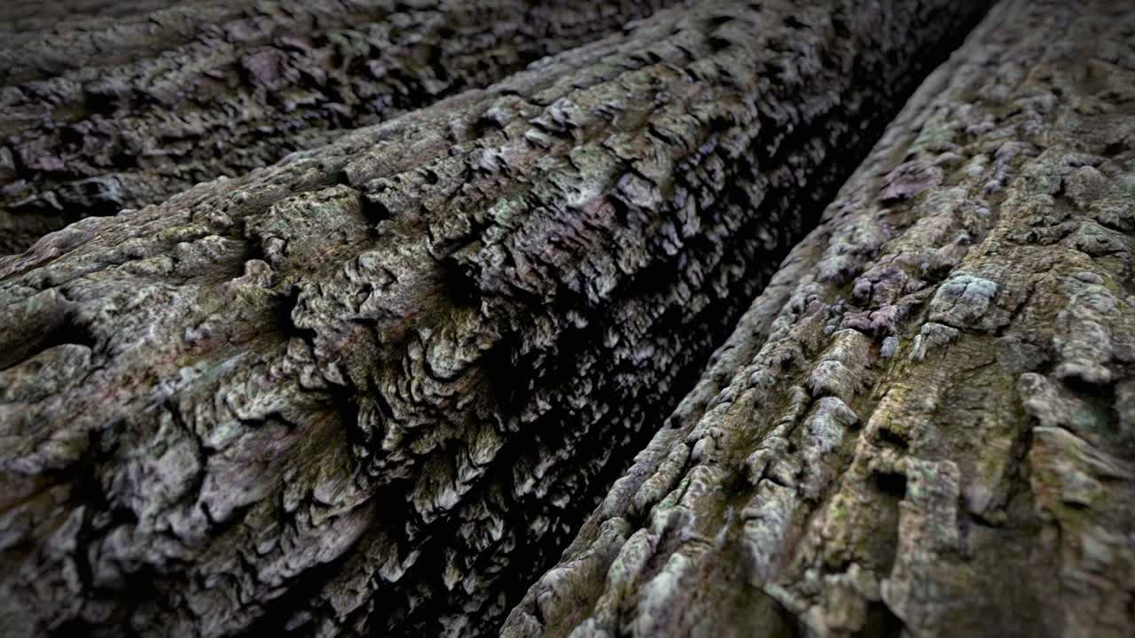 Fellen round wood on the Sawmill for construction or heating