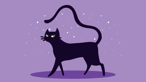 feliz animación de halloween con gato negro caminando