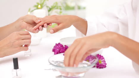 beautician filing female clients nails at spa beauty salon