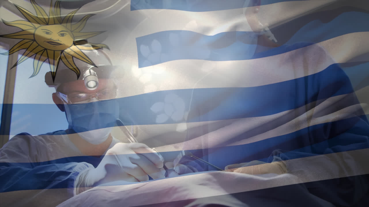 수술실 에 있는 외과 의사 들 위 에 우루과이 의  ⁇ 발 이 흔들리는 애니메이션