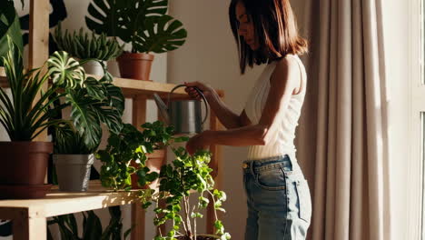 woman watering plants on wooden shelves