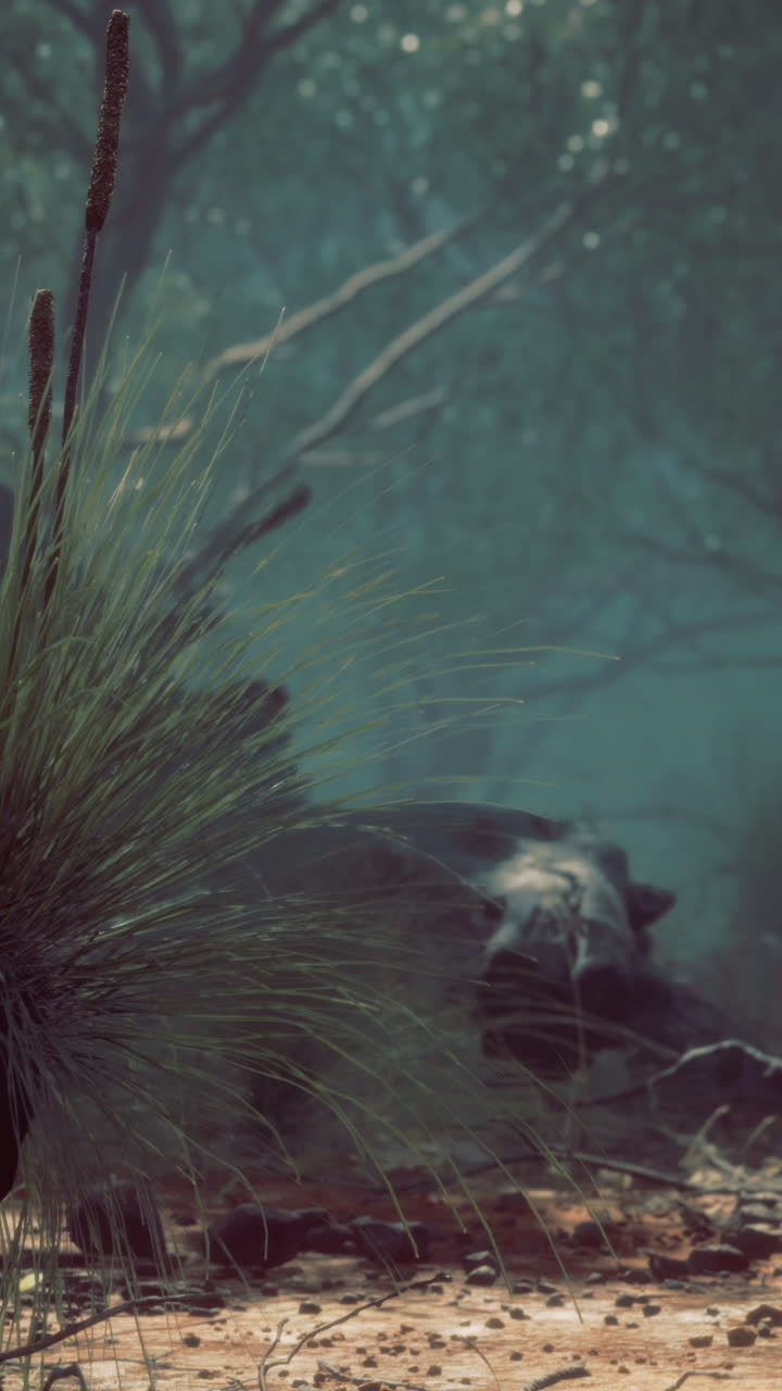 Intriguing encounter in the wild with hidden wildlife and lush vegetation