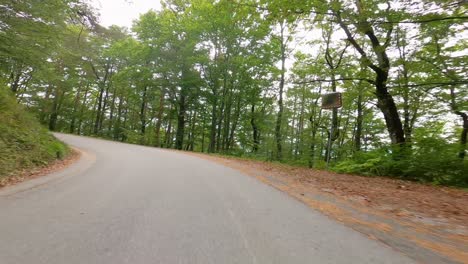 Conduciendo-A-Través-De-Un-Bosque-De-Verano-En-Una-Carretera-Asfaltada