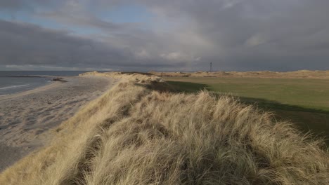 sandy dunes overgrown with yellow grass on ocean coastline, aerial fly forward