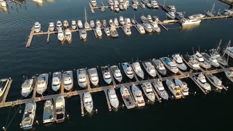 rows of yachts and boats at fremantle sailing club of perth in western australia