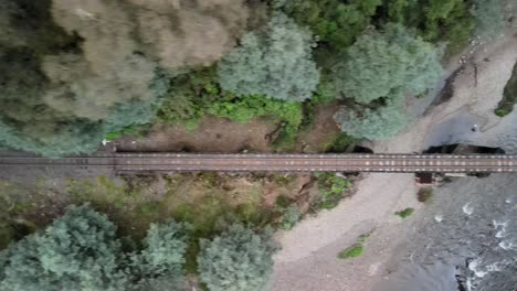 vista de arriba hacia abajo de las vías del tren de vapor a través del bosque