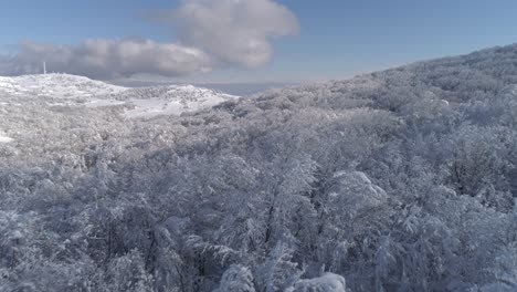 snowy mountain forest aerial view