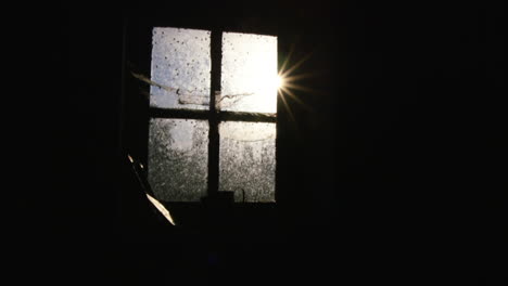 sunlight shining through a window crawling with flies