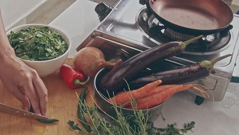 slicing green chilies for cooking ginataan with moringa or malungay which is a soup cooked in coconut milk, a traditional filipino dish showing the authentic cuisine and culture of the philippines